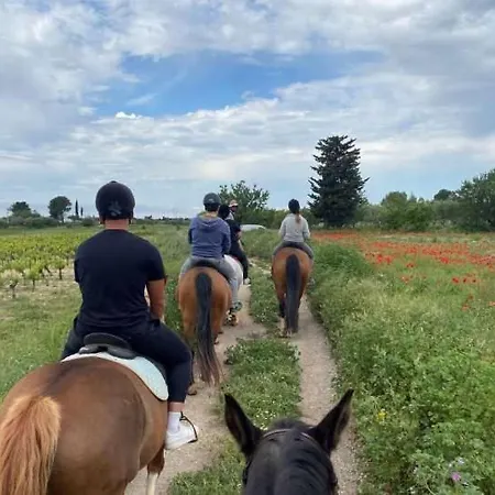 Apartment Les Gabians - T2 - Tiki - Raphael Saint-Raphaël