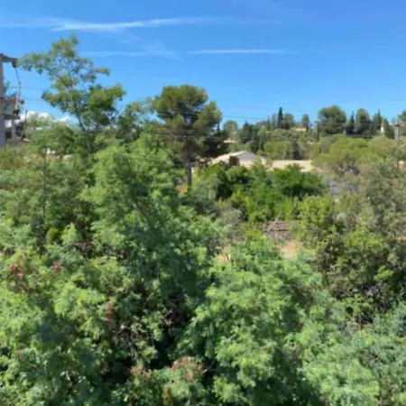 Les Gabians - T2 - Tiki - Raphael アパート