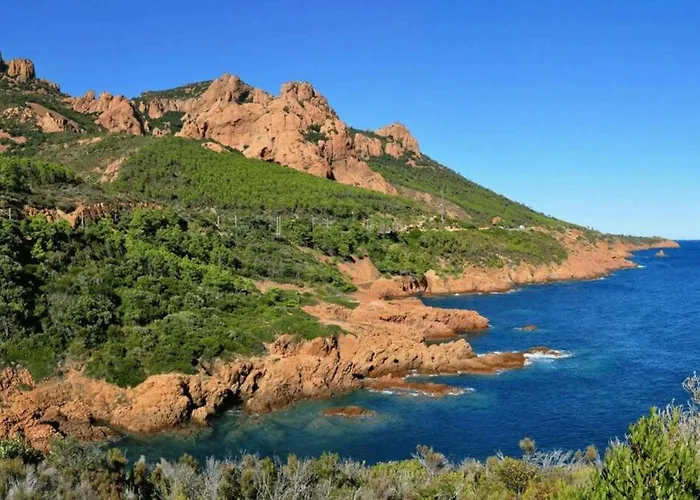 Les Gabians - T2 - Tiki - Raphael