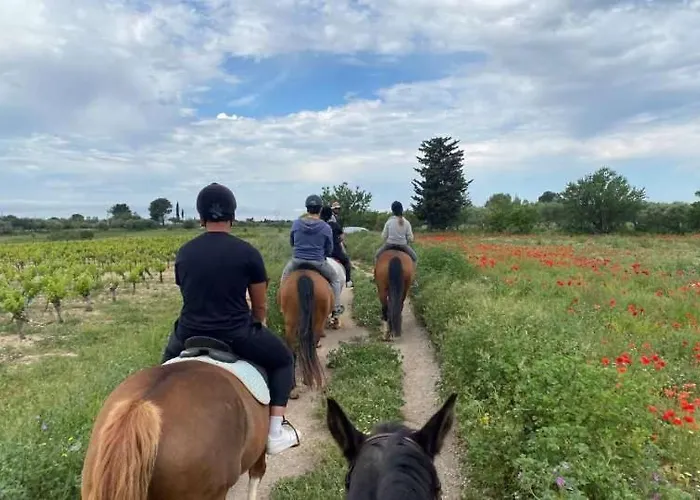 Apartment Les Gabians - T2 - Tiki - Raphael Saint-Raphaël
