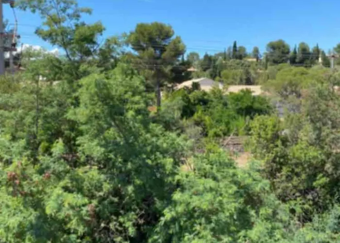 Les Gabians - T2 - Tiki - Raphael Apartament