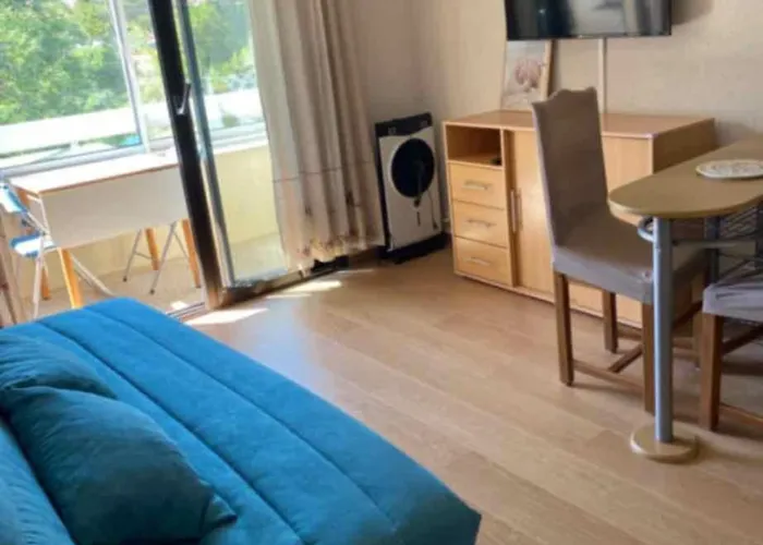 Les Gabians - T2 - Tiki - Raphael Apartment