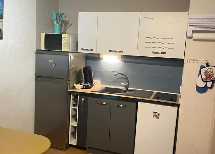 Les Gabians - T2 - Tiki - Raphael Apartament